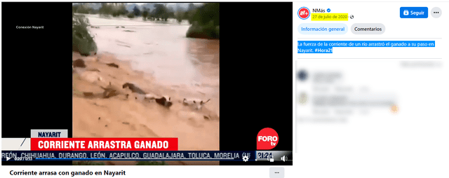  Noticiero revela que el video en cuestión es del 2020 y corresponde a una escena en México. Foto: captura de Facebook/NMás    