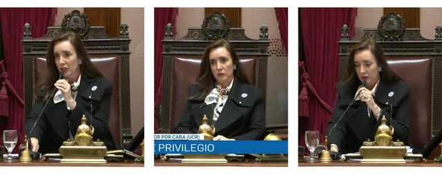 <em>Diferentes capturas de la participación de Villarruel en la sesión. En ninguna se aprecia el cartel "Cristina libre". Foto: capturas de YouTube</em>   