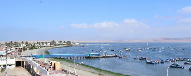 Paracas. Foto: Copa del Pacífico