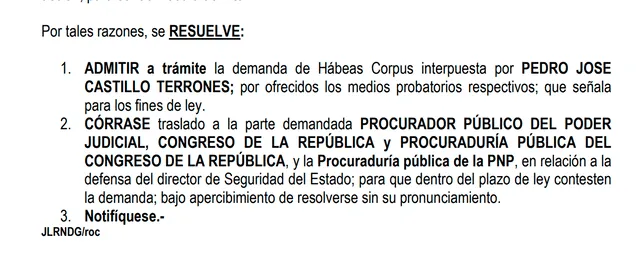 Juzgado admitió habeas corpus de Pedro Castillo contra prisión preventiva. Foto: documento