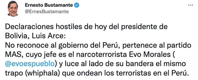Bustamante se pronunició tras declaraciones de Luis Arce. FOto: captura de Twitter