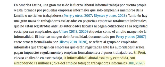 <em> </em>Captura de pantalla tomada el 16 de febrero de 2025 del artículo “Large firms and the intensive margin of labor informality evidence from an enforcement intervention in Peru”    