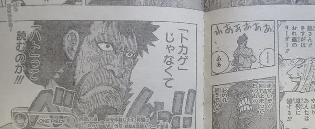 One Piece Manga 975