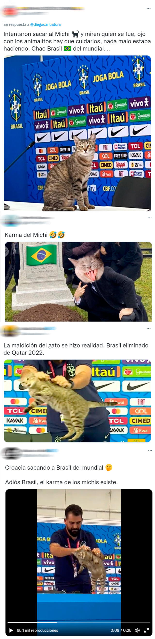 Eliminación de Brasil