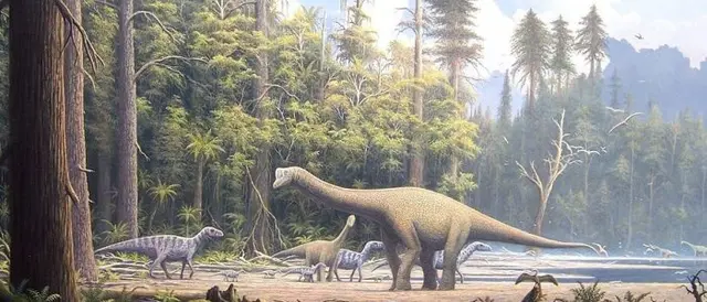  El descubrimiento brinda pistas sobre el periodo Cretácico.   