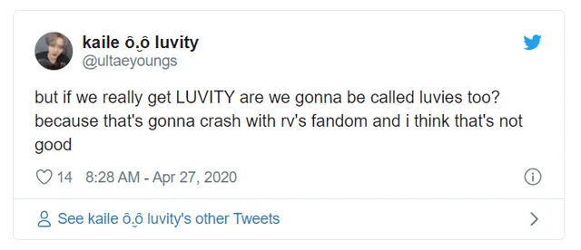 Usuarios apuntaron la similitud del fandom LUVIT de CRAVITY con Luvies, diminutivo del fandom de Red Velvet.