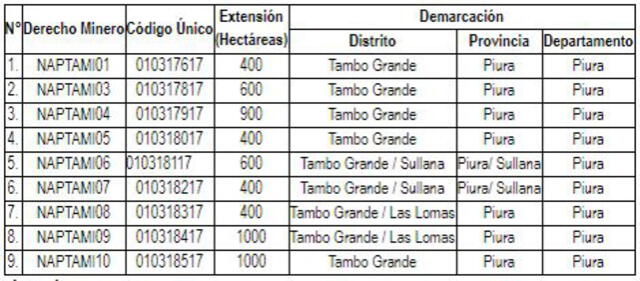 Lista de los 21 derechos mineros autorizados a Nuevo Arcoiris SAC. Foto: Captura