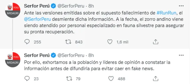 Comunicado de Serfor tras rumores de fallecimiento del zorro andino Run Run. Foto: captura de Twitter
