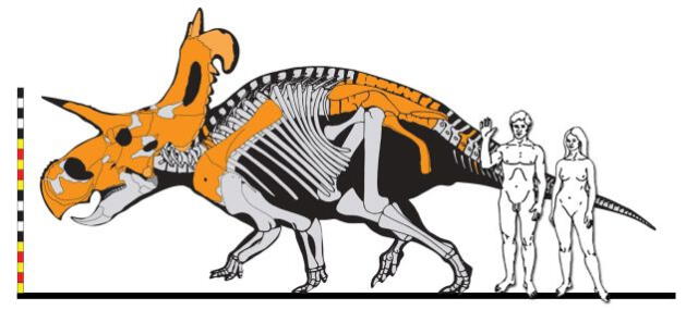 Se estima que la altura del lokiceraptor puede ser comparada con la de los elefantes más grandes de la Tierra. Foto: NASA 