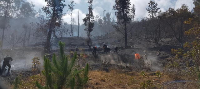  Detienen incendios forestales en centro poblado de Uyurpampa, en la región de Lambayeque. Foto: Mindef    