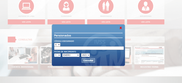 Es posible consultar tu pensión con tu número de cédula. Foto: captura de página web del IVSS   