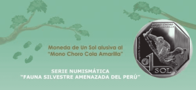 Moneda de 1 sol inspirada en la foto de Fanny M. Cornejo sobre el mono choro de cola amarilla. Foto: Andina   