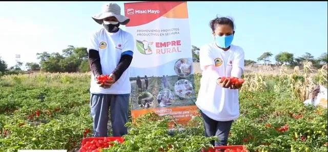 Producción de ají a nivel internacional