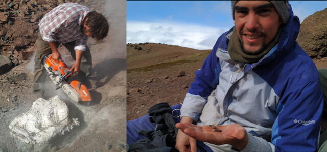 Paleontólogos hallaron un megarraptor de diez metros de longitud en la Patagonia. Composición: nmas1.org