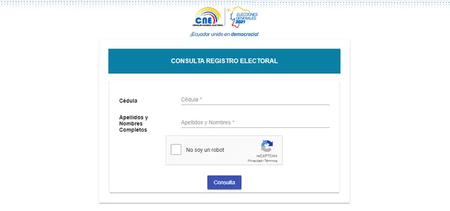 Plataforma de consulta de registro electoral. Foto: captura.