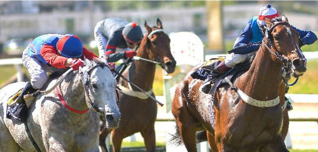 Hipódromo de Palermo EN VIVO