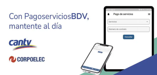 La aplicación BDVenlinea puede usarse para diversas operaciones. Foto: @BcodeVenezuela/ Twitter