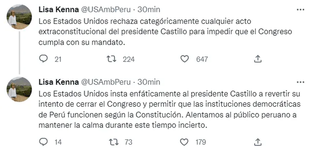 Pronunciamiento de la embajadora de EE. UU. en Perú. Foto: @USAmbPeru/Twitter