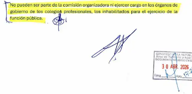 Texto Sustitutorio
