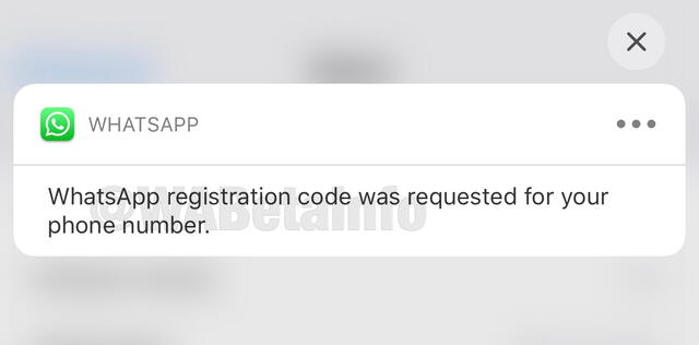 Nueva notificación sobre solicitud de registro. | Foto: WABetaInfo
