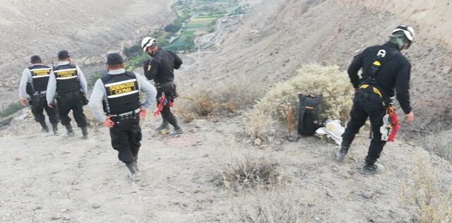 Arequipa: rescatan a can que cayó a profunda quebrada del valle de Chilina