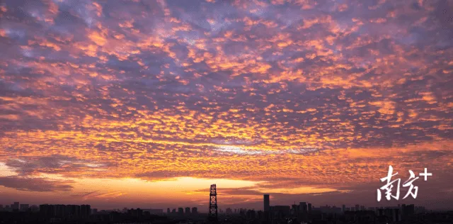 El verano en Guangzhou comenzó el 23 de marzo, según registros meteorológicos locales, y podría extenderse hasta finales de noviembre. Foto: Southern/ Su Yunhua   