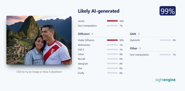 <em>Resultado de la evaluación en SightEngine. Foto: captura de Google</em>   