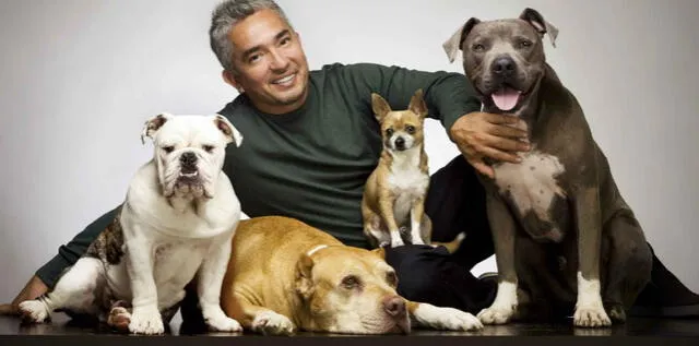 ¿Cómo César Millán pasó de inmigrante ilegal a convertirse en el encantador de perros?