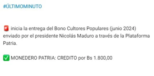 Anuncio del Bono Cultores Populares de mayo 2024. Foto: Canal Patria Digital   