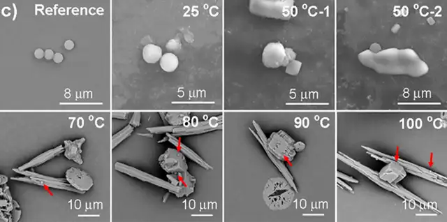 En el experimento se añadieron microplásticos adicionales para determinar la eficacia del proceso de ebullición y filtrado. Foto: ACS   