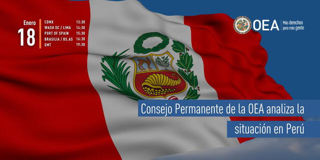 Consejo Permanente de la OEA analizará la convulsa situación en Perú mañana, 18 de enero. Foto: @OEA_oficial/Twitter
