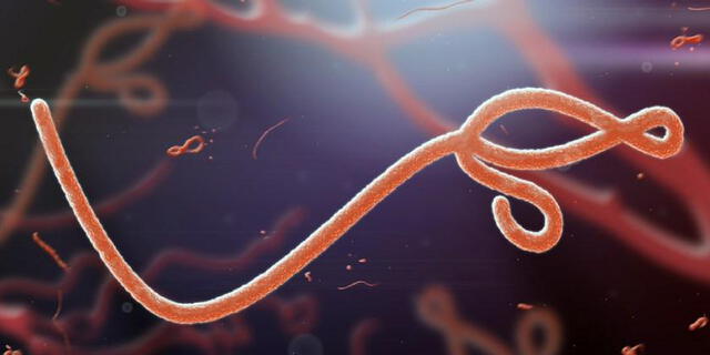Hasta el momento, no hay un tratamiento específico que garantice la cura del ébola. (Foto: CNN)