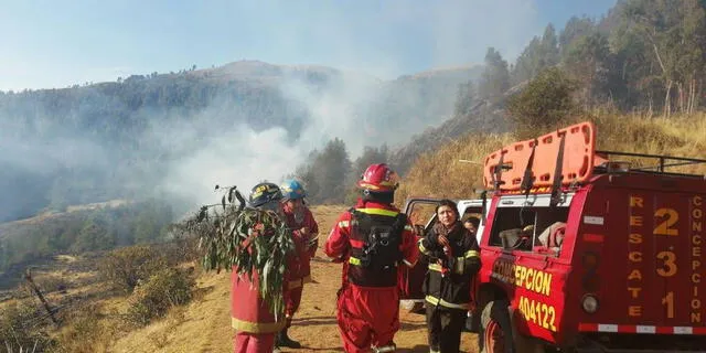 Junín: incendio forestal consume 5 hectáreas de bosque [FOTOS]