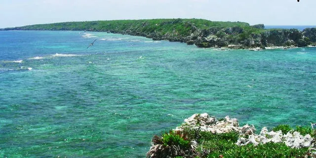  La construcción de la megacárcel en las Islas podría causar daños irreversibles a los ecosistemas y generar contaminación en el mar. Foto: Honduras Tips   