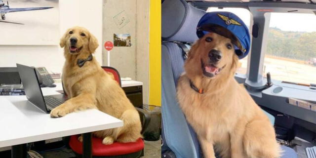  Usuarios preocupados por la mascota de Viva Air. Foto: El Colombiano   