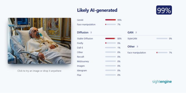 <em>Resultado de la evaluación en SightEngine. Foto: captura de Google</em>   