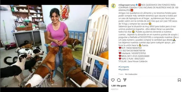 Los animales de la casa hoga atraviesan una situación desesperada