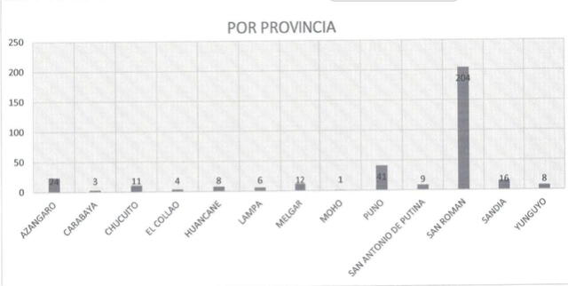 Las ciudades más golpeadas por la delincuencia en la región Puno de acuerdo a la Policía.