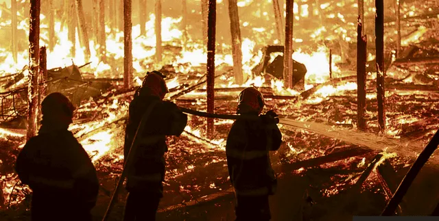 Brigadas Cuerpos especiales de bomberos intentan sofocar los incendios que afectan extensas áreas de la Amazonía brasileña y que amenazan al resto de países de la región. Biodiversidad de la Tierra en peligro