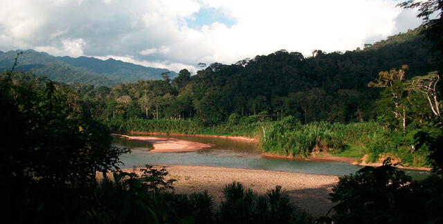 Parque Nacional Bahuaja Sonene. Foto: iPerú