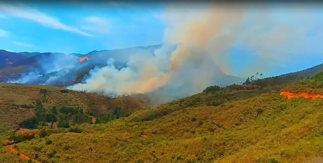  Incendios forestales en la sierra de Piura arrasan con bosques y cultivos en Huancabamba. Foto: Municipalidad de Huarmaca    