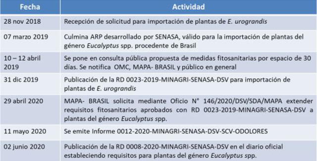 Cronograma de solicitud de importación de eucalipto urograndis de la empresa Agroindutrial Blue. (Fuente: Senasa)