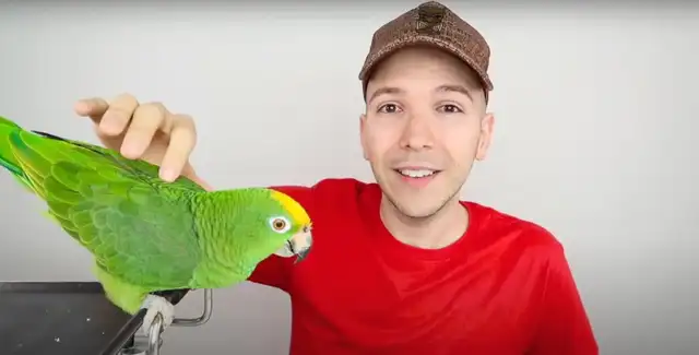 El creador de contenido mencionó que tenía grabado suficiente material para publicar mientras cuidaba su salud. Foto: Youtube   