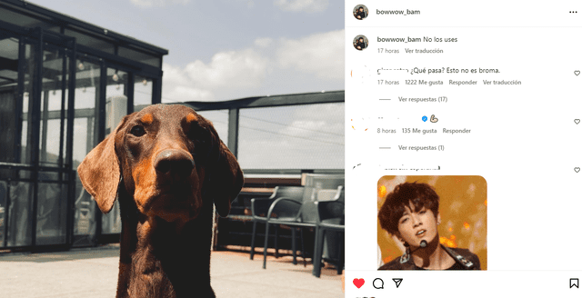  Jungkook de BTS a través de la cuenta de Instagram de su perro. Foto: captura Instagram 