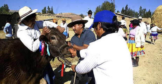 la Fiesta de Santiago, Junín, Huancyao