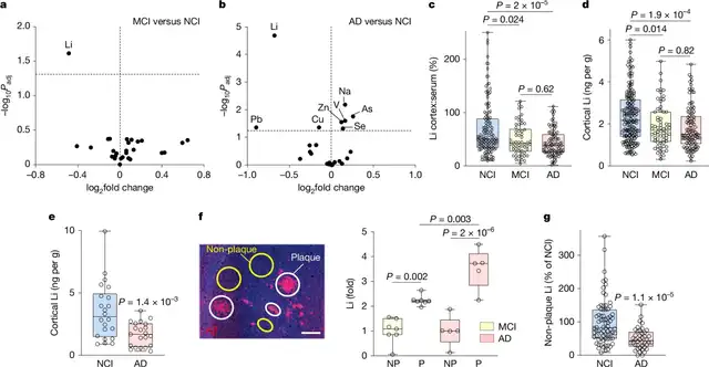 La deficiencia de litio acelera la patología de EA y el deterioro cognitivo. Foto: Nature<br> La deficiencia de litio acelera la patología de EA y el deterioro cognitivo. Foto: Nature<br>