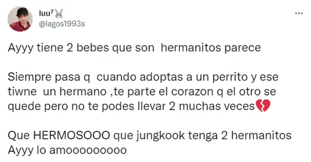 Reacción de ARMY en las redes sociales. Foto: captura/Twitter