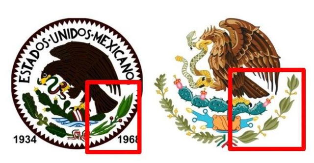 Las diferencias en el laurel. Foto: unioncdmx.mx