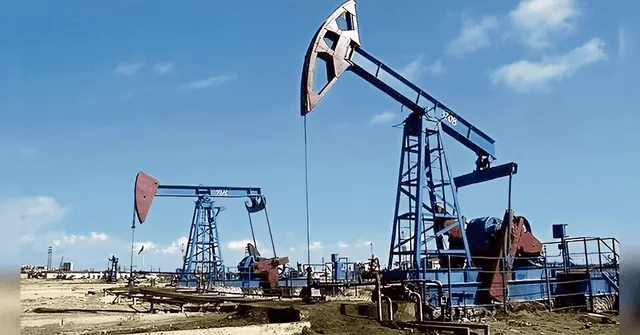  Crudo talareño. Petroperú necesita asegurar la garantía de carga de suministro a costo de producción y no a valor internacional para su nueva refinería. Foto: difusión<br><br>    