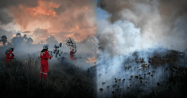 Con la declaratoria de emergencia, Cajamarca podrá atender de mejor manera los incendios forestales activos desde hace semanas. Foto: La República   